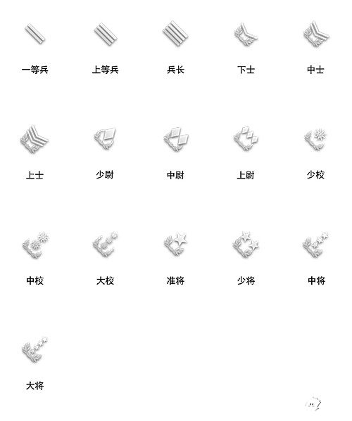 陸戰(zhàn)之王軍階